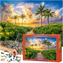 Puzzle układanka 3000 elementów Wschód Słońca w Miami 92 x 68 cm CASTORLAND